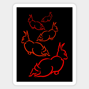 Scattering Rabbits Magnet